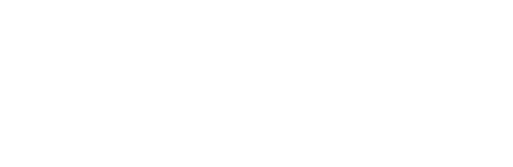 Julieta Suarez Valente